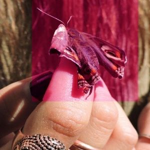 Meet your Posher, Adria